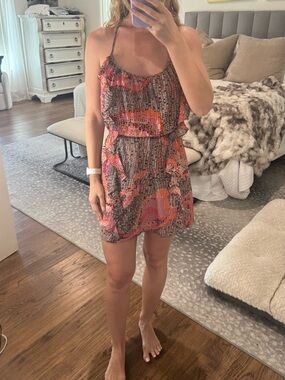 Parker Pink and Gray Ruffle Dress